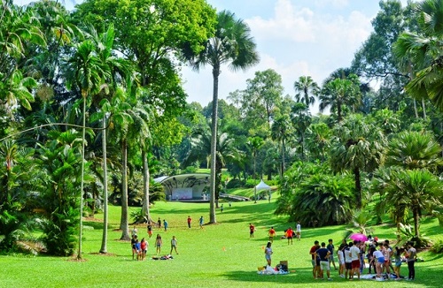 Khu vườn thực vật đáng để tham quan du lịch tại Singapore
