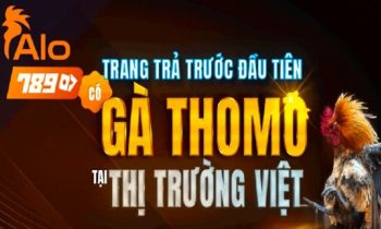Khuyến Mãi Alo789 – Casino đá gà trực tuyến uy tín hàng đầu Việt Nam hiện nay
